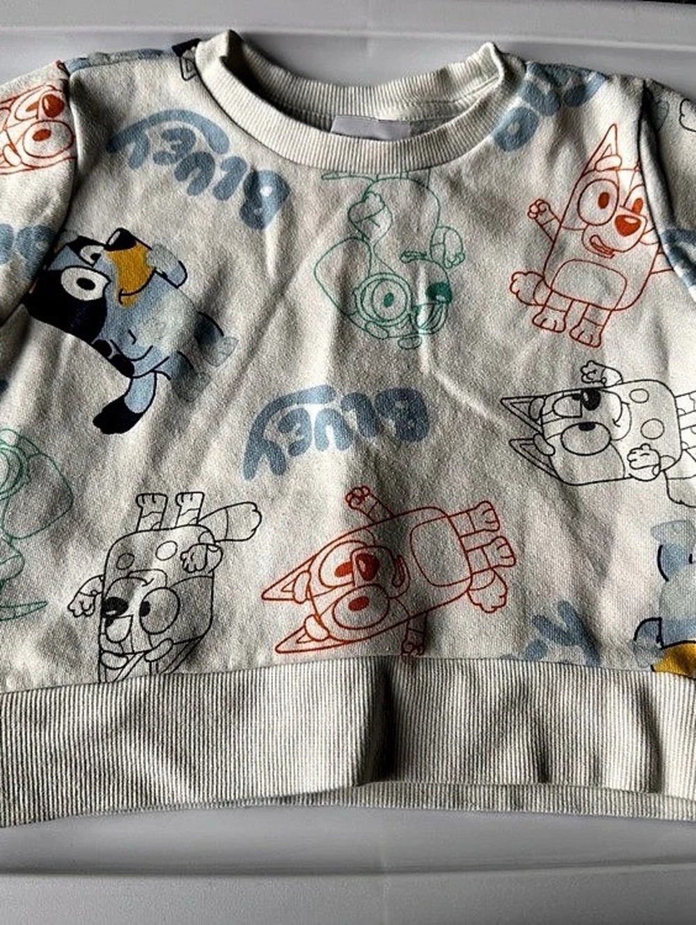 Bluey Graphic Sweatshirt in Gray & Blue Baby 18M Like New